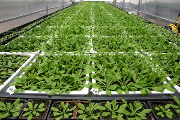 Το μέλλον είναι στην παραγωγή προϊόντων έντασης τεχνολογίας και όχι στην κατ΄ αποκλειστικότητα βασική πρωτογενή παραγωγή.